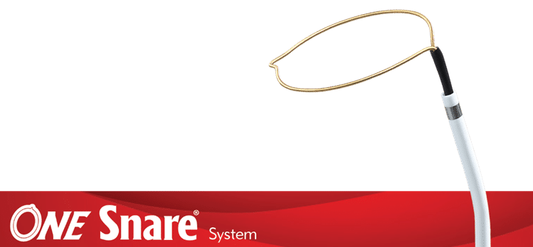Merit Medical ONE Snare Endovascular Snare System